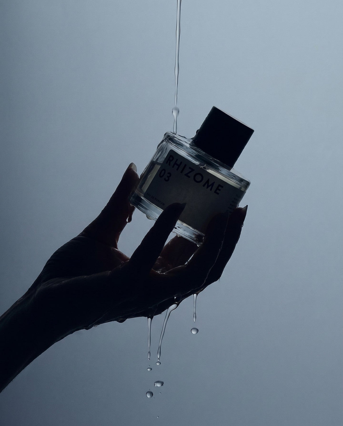 Niche Perfumes